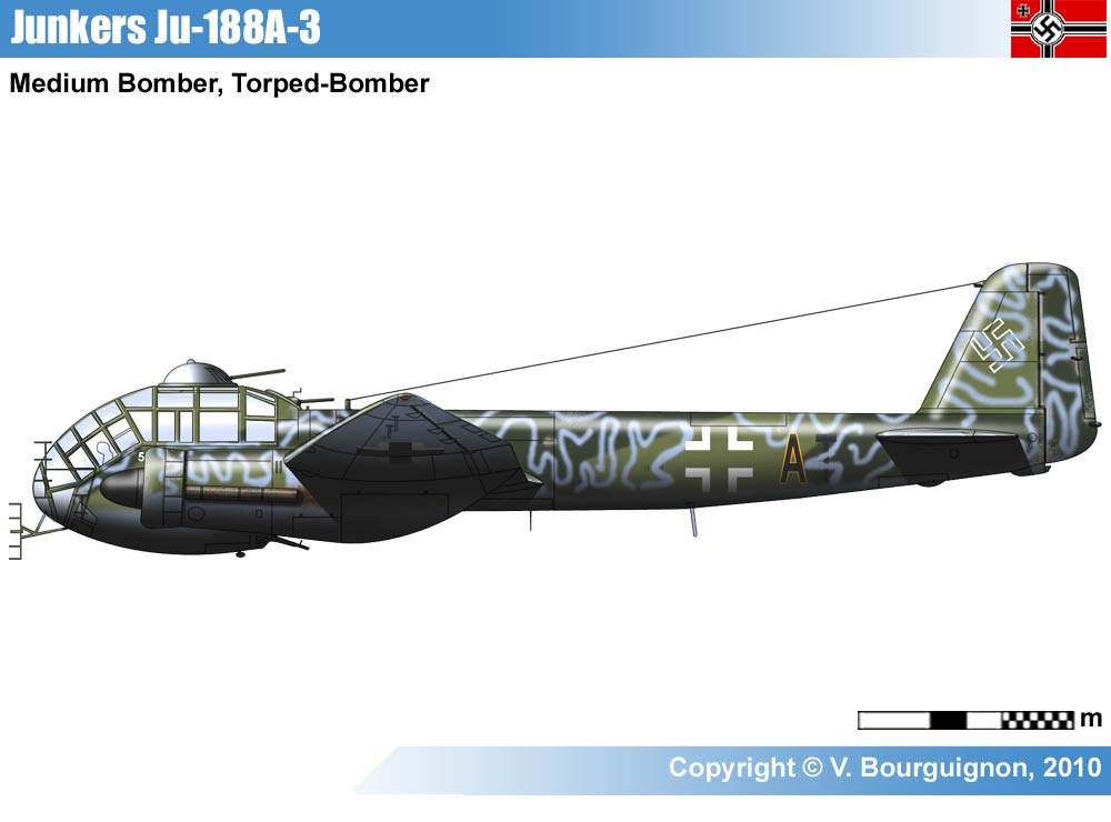 p10.0 (2).jpg